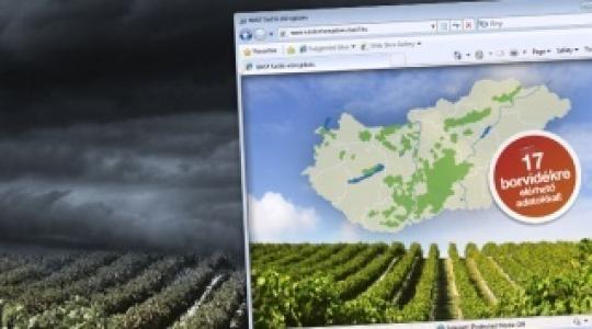 Új szolgáltatás szőlőtermesztőknek