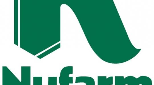 Kipróbált megoldások különböző kukorica gyomirtási helyzetekben