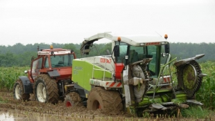 Kukorica silózás a Sorokmenti MGTSz-nél