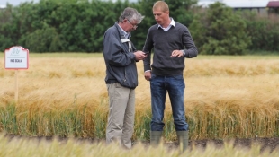 Martonvásári Országos Kalászos Szakmai Nap és Fajtabemutató