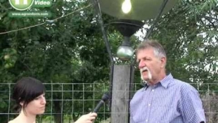 Kutya helyzet a kukoricában - Dr. Szieberth Dénes kőszárhegyi kukoricásában jártunk