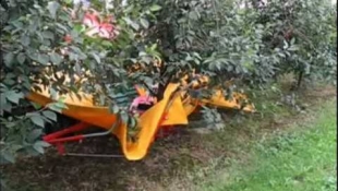 MEGGY ES SZILVA BETAKARITÓ ÚJ FILM