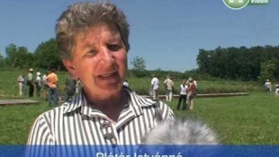 Költséghatékony termelés talajkímélő műveléssel