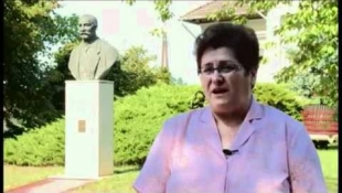 Szőlészeti kutatások Újvidéken - 3. RÉSZ