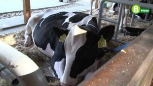 Agriprep silótakarmány oltóanyagok az Agro.bio Kft-nél (+Videó)