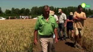 SAATEN-UNION - Hibridbúza bemutató 2012