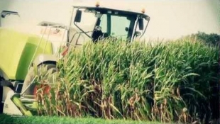 Így dolgozik a CLAAS Jaguar