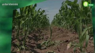 Új vetőmagok és növényvédő szerek a Syngenta háza táján - Szezonnyitó Kaposváron