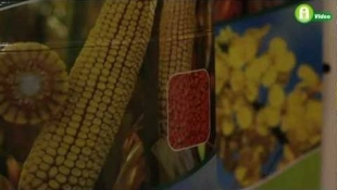 Euralis - Nyereményjáték a vásárlók között – AGROmashExpo 2013