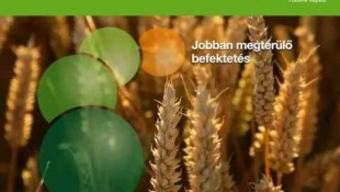 Erősebb, egészségesebb, zöldebb búzaállomány Opera New-val