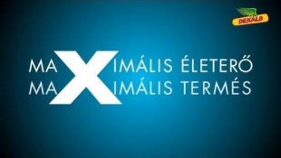 Dekalb repce - maximális életerő, maximális termés