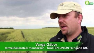 SAATEN-UNION hibridbúza bemutató és határszemle - Szentes, 2014
