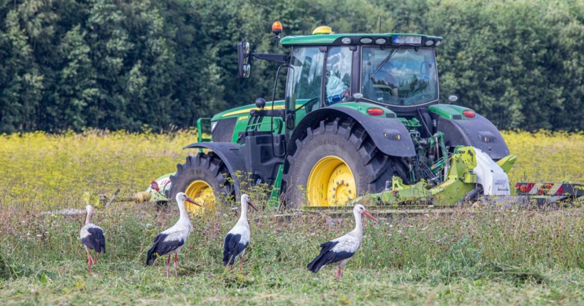 3 napos időjárás-előrejelzés: kíméletlen forróság érkezik 