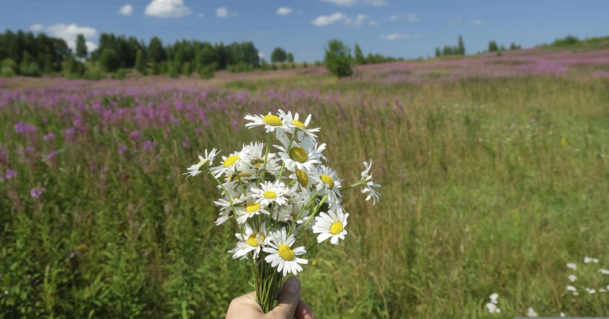 3 napos előrejelzés: Új erőre kap a hőség