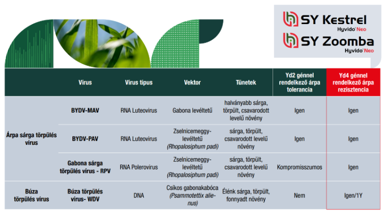 syngenta