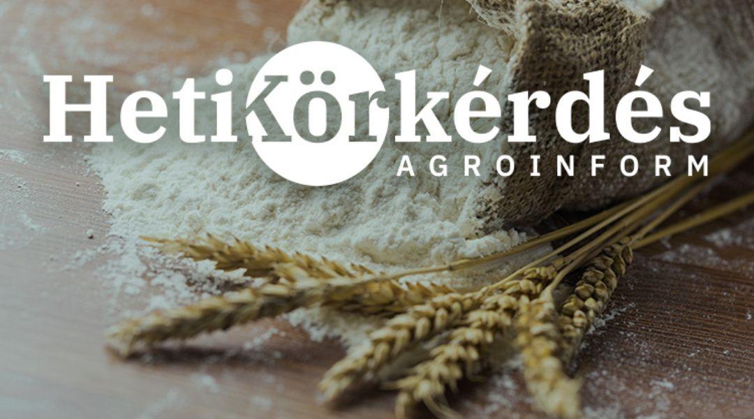 „Kik” a malmok kedvencei? – Heti Körkérdés
