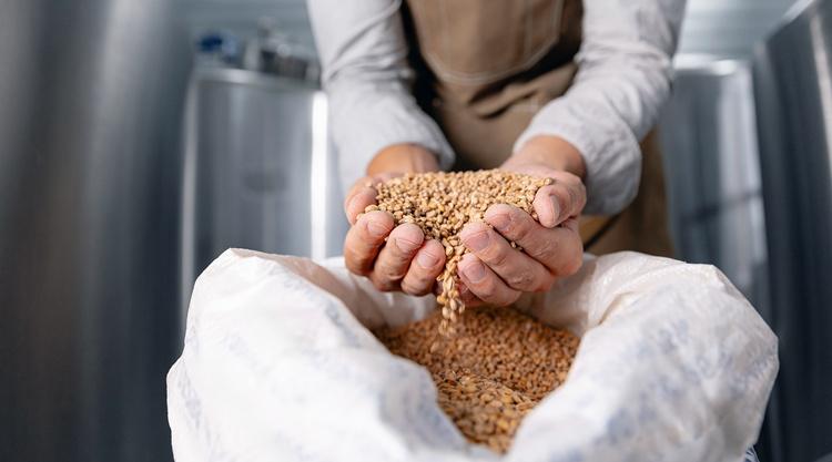 arpa arpa