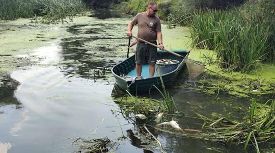 Katasztrófa: kivégezte a halállományt a szennyvíz Katasztrófa: kivégezte a halállományt a szennyvíz