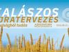 Kalászos újratervezés - tanulságból tudás - Agroinform online konferencia: így csatlakozhatsz!