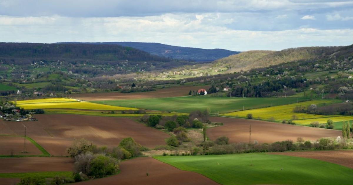 Friss adatok érkeztek: ennyit ér most egy hektár szántó Magyarországon