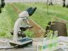 EIT Food 2026: uniós források segíthetik az agrárinnovációk piacra jutását