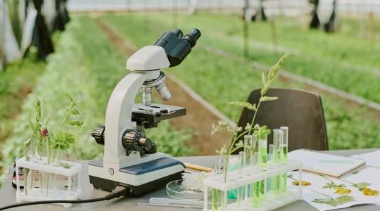 EIT Food 2026: uniós források segíthetik az agrárinnovációk piacra jutását EIT Food 2026: uniós források segíthetik az agrárinnovációk piacra jutását