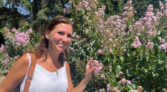 Kiderült, mely növények bírják ki a legdurvább városi hőséget is