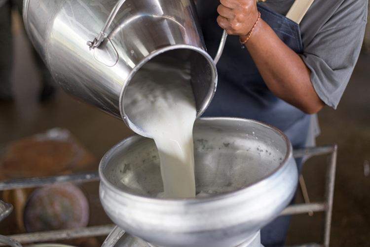 tej tej