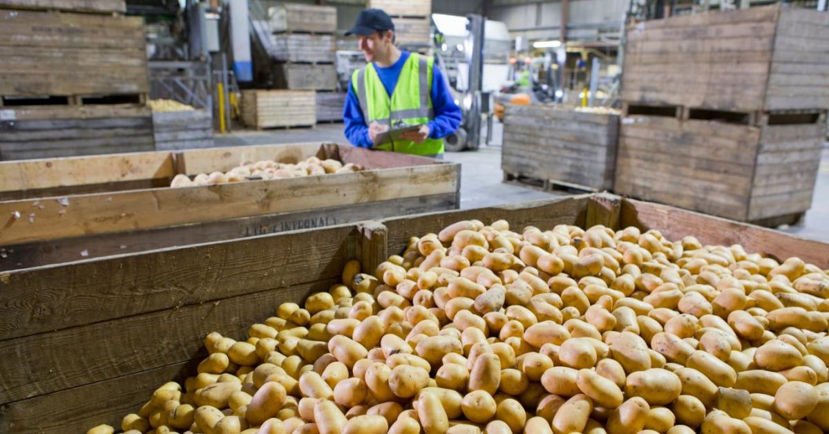 Megszületett a Nemzeti Élelmiszer-önrendelkezési Index: 9 indikátor alapján mérik a magyar agráriumot Megszületett a Nemzeti Élelmiszer-önrendelkezési Index: 9 indikátor alapján mérik a magyar agráriumot