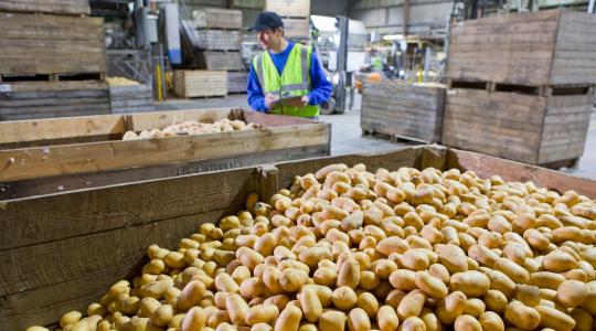 Megszületett a Nemzeti Élelmiszer-önrendelkezési Index: 9 indikátor alapján mérik a magyar agráriumot