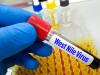 Rohamosan terjed a nyugat-nílusi vírus a népszerű európai nyaralóhelyen