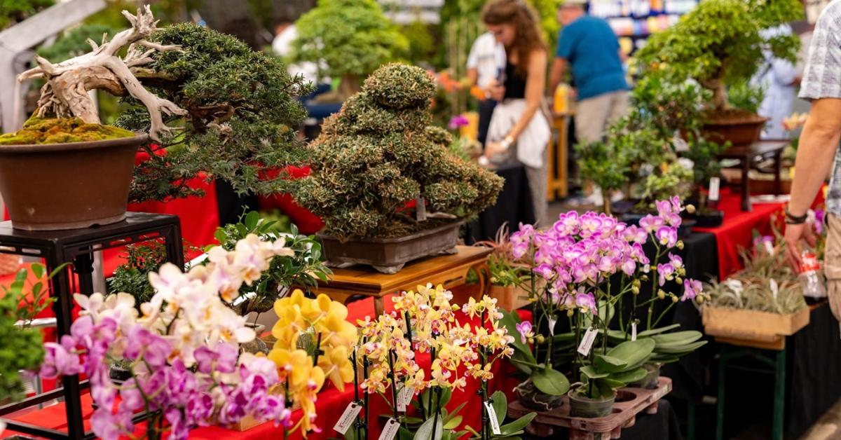 HungaroGreen 2026: Újra összefog a kertészeti szakma Szigetszentmiklóson HungaroGreen 2026: Újra összefog a kertészeti szakma Szigetszentmiklóson