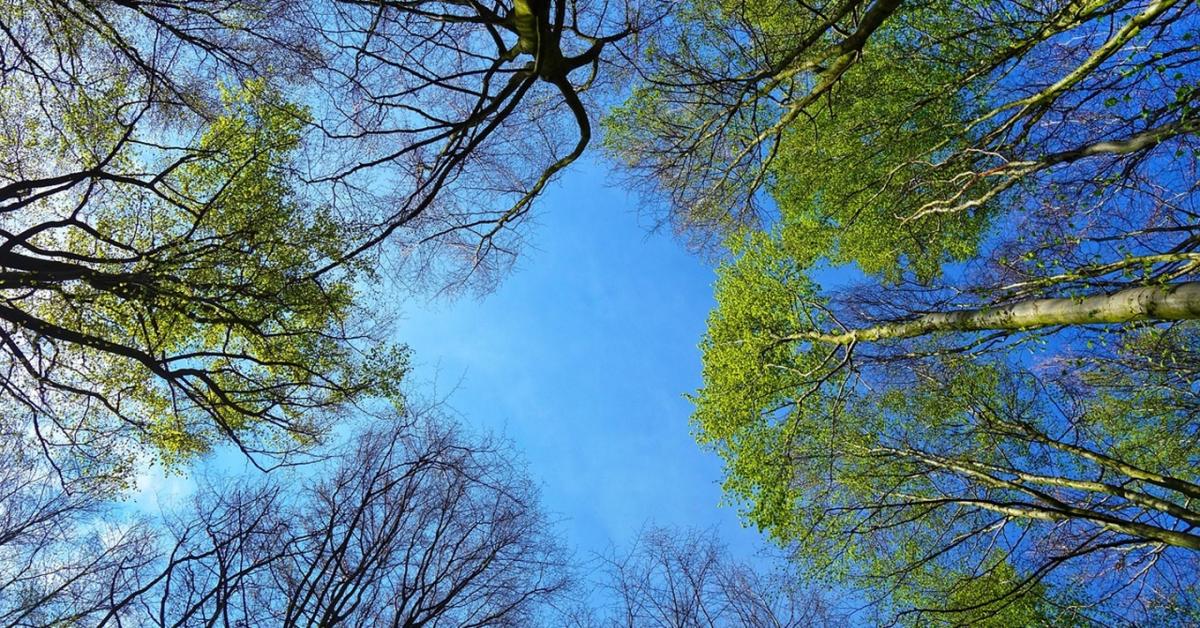 3 napos előrejelzés: Érkezik az enyhülés, kicsit még várni kell rá