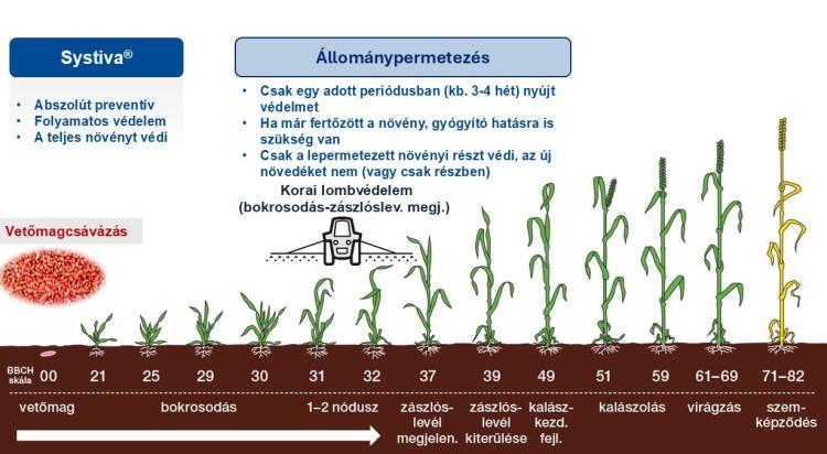 körkérdés
