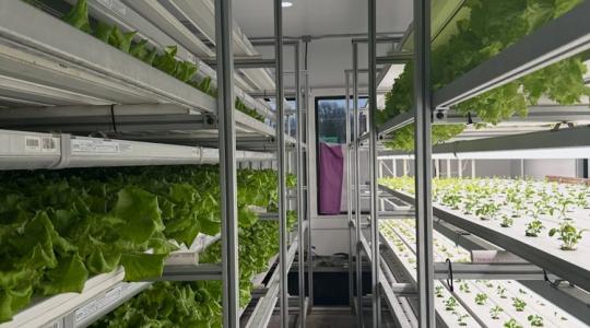 Farm a konyha mellett: így iktatja ki a beszállítókat az új amerikai modell