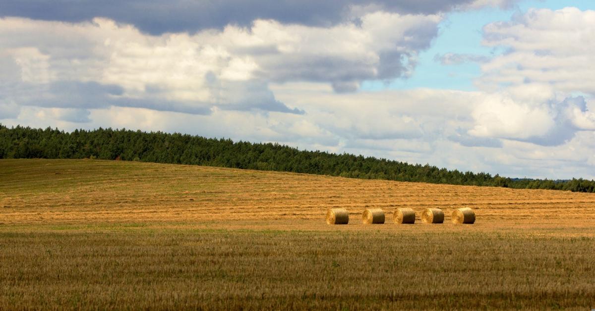 Időjárás: Csak átmeneti volt a felfrissülés