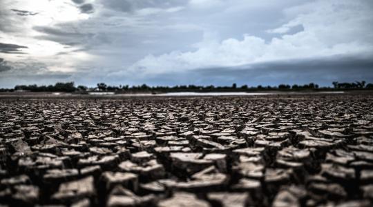 Agrárjog gazdáknak – Kárenyhítési juttatás és haszonbérfizetési kedvezmény az aszálykárra tekintettel