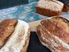 Magyar fejlesztés köti össze a termelőt a pékséggel: új piac nyílik a biogabonának