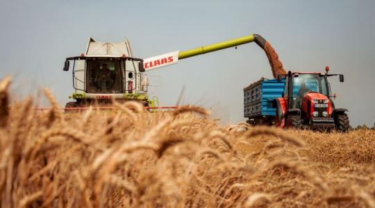 Eltűnt a búza negyede Magyarországon: megszólalt az agrártárca