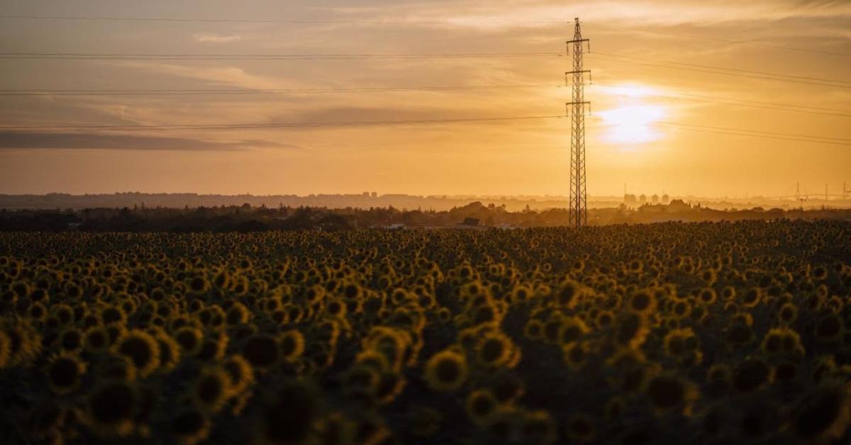 A rendkívüli hőség idején a KITE Zrt. is tudatos intézkedésekkel csökkenti energiafelhasználását