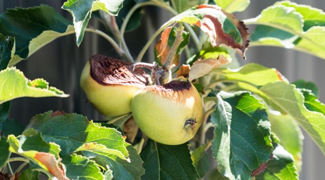 Ilyen lesz ősz: a nagy esőkre sokáig kell várni