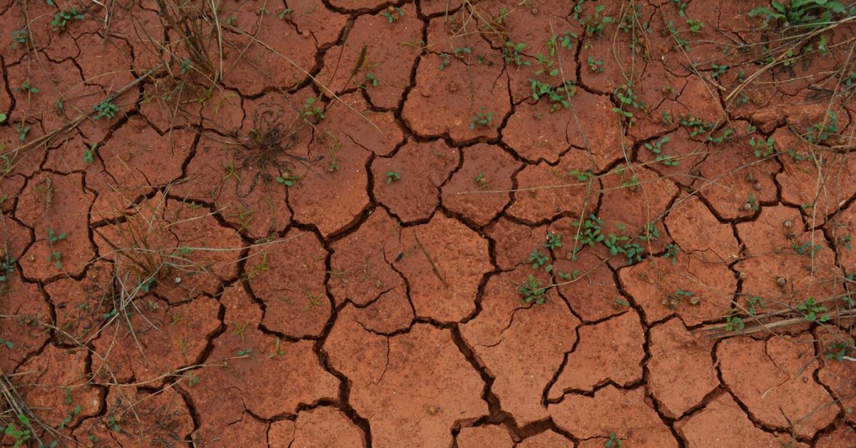 Időjárás: Forró éjszaka után perzselő szerda