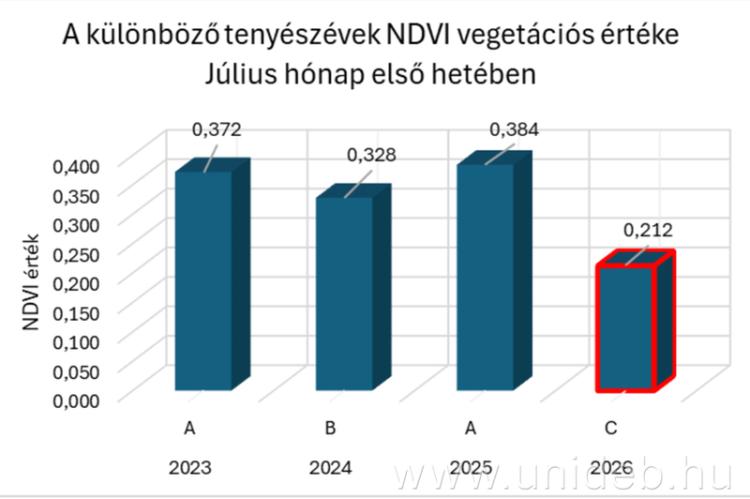 aszály