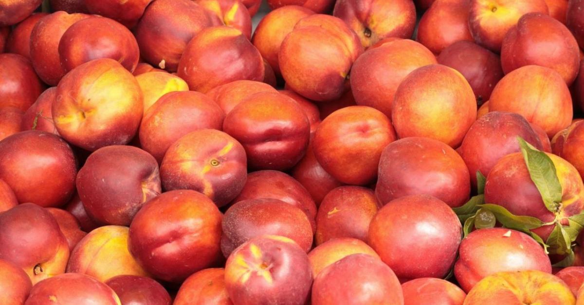 Hatalmas nektarindömping tarolja le a piacot Hatalmas nektarindömping tarolja le a piacot