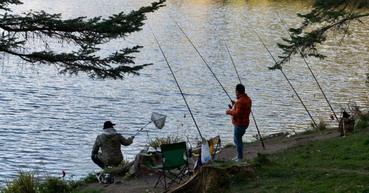 A szabadidős horgászok jóval több halat fognak és tartanak meg, mint azt korábban gondolták