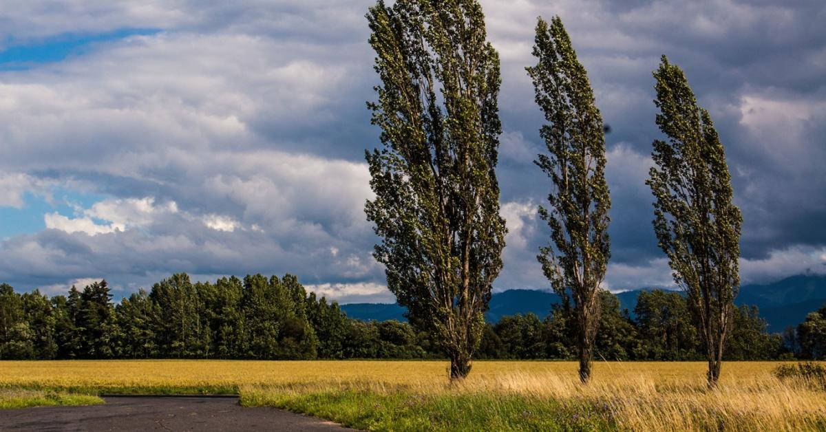 3 napos előrejelzés: Fokozatos enyhülés jön, mutatjuk a kilátásokat