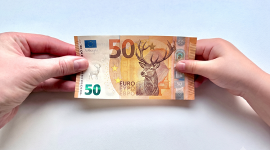 Meghökkentő ötlet: kapitális gímbika kerüljön az új euróbankjegyekre