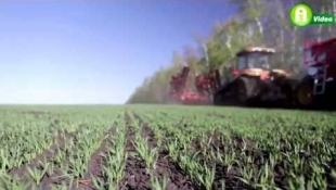 Väderstad TopDown - A multikultivátor