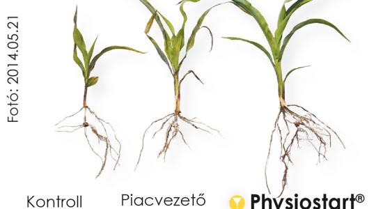 Physiostart® – Kis szemcsében hatalmas erő Physiostart® – Kis szemcsében hatalmas erő