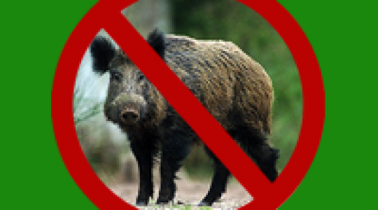 A vadak igazi ellensége nem a vadász!